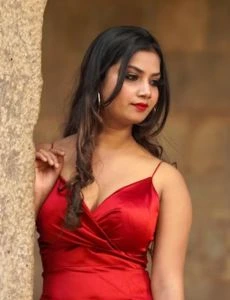 call girl service in Pennagaram